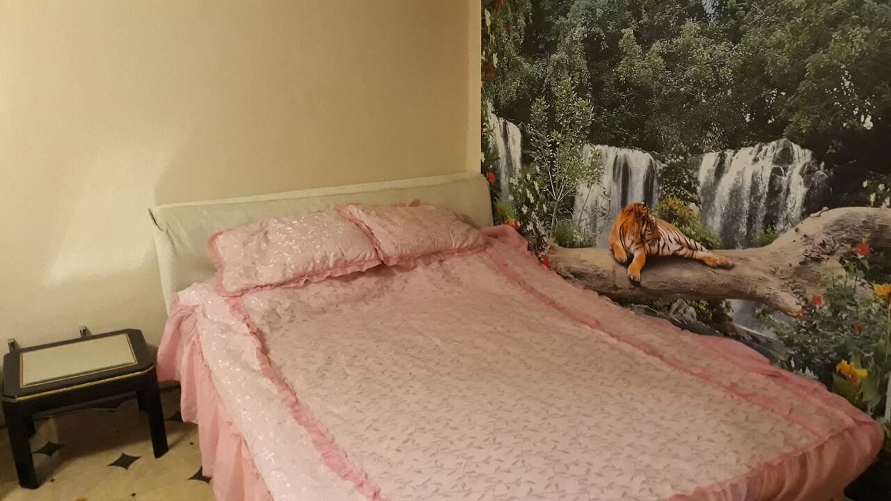 Апартаменты Апартаменты целиком whole apartment Кривой Рог-6